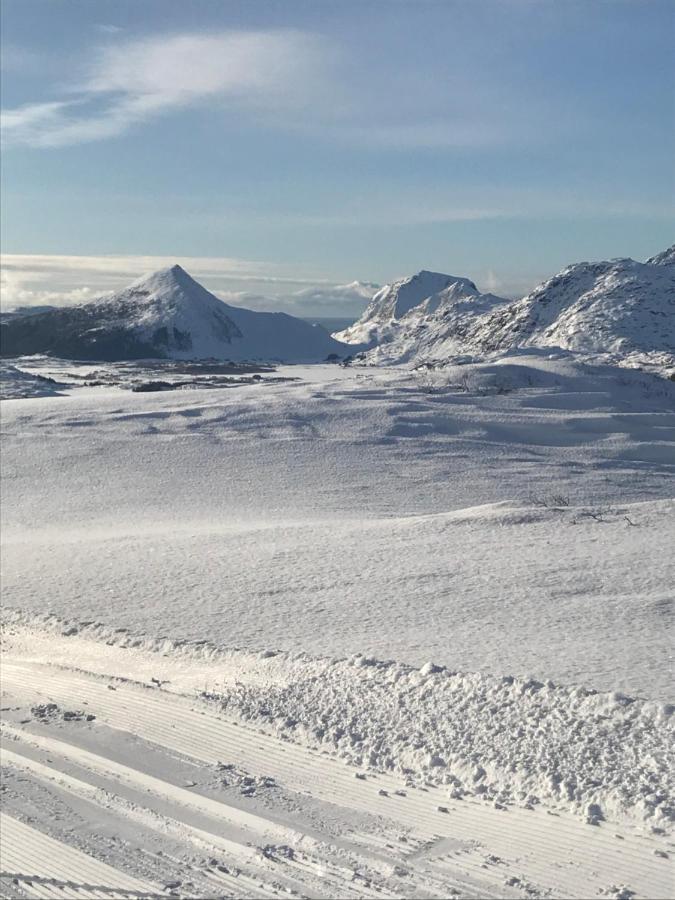 Cabin Panorama Lofoten With Jacuzzi Magic View Offersoya Exterior photo